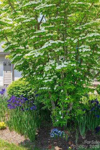 55 Outlook Circle, Swannanoa, NC 28778