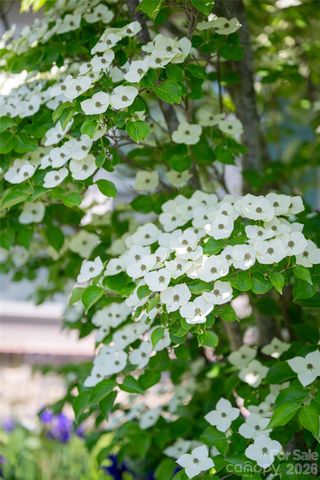 55 Outlook Circle, Swannanoa, NC 28778