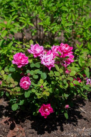 55 Outlook Circle, Swannanoa, NC 28778