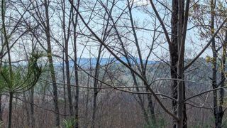 68 Colby Hill Road, Hillsborough, NH 03244