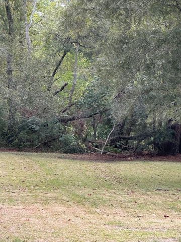 Off of Fm 1409, Old River-winfree, TX 77523