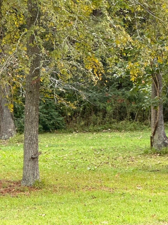 Off of Fm 1409, Old River-winfree, TX 77523