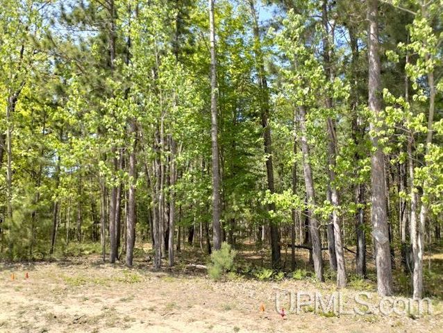 10490 Breezy R.22 Lane, Rapid River, MI 49878