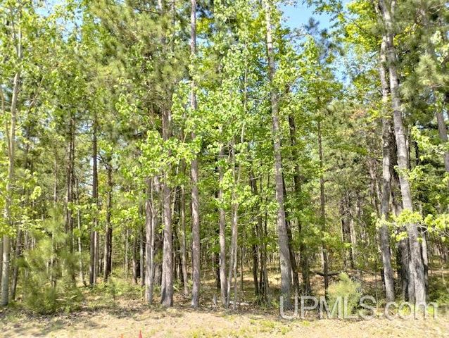 10490 Breezy R.22 Lane, Rapid River, MI 49878