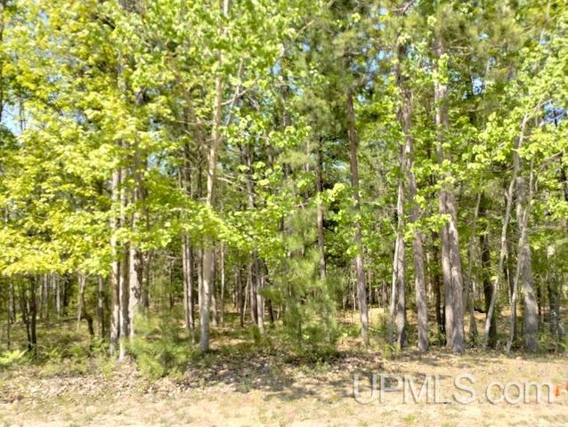 10490 Breezy R.22 Lane, Rapid River, MI 49878