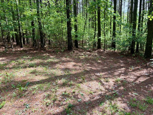 0 RAULSTON FALLS RD, Jasper, TN 37347