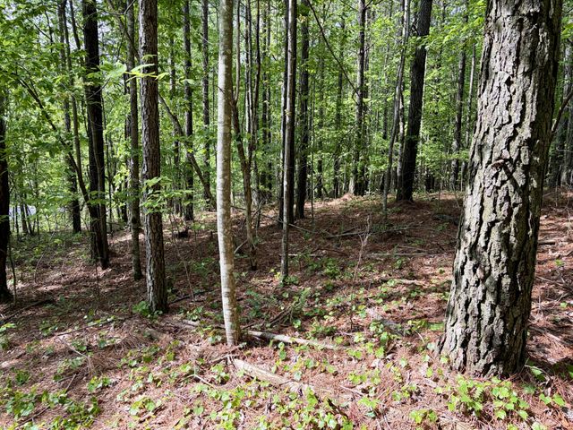 0 RAULSTON FALLS RD, Jasper, TN 37347