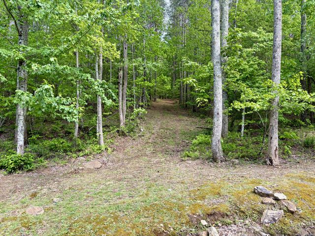 0 RAULSTON FALLS RD, Jasper, TN 37347