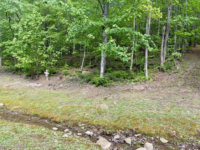 0 RAULSTON FALLS RD, Jasper, TN 37347