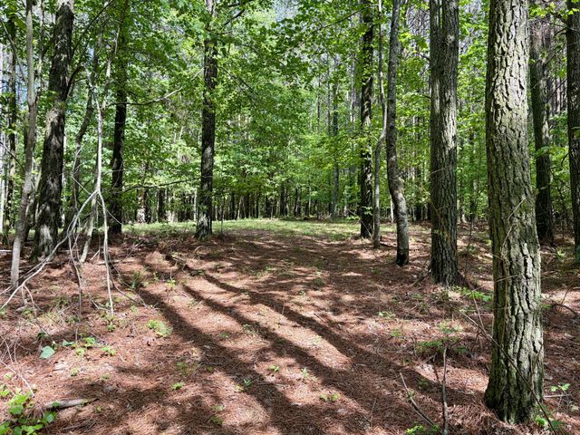 0 RAULSTON FALLS RD, Jasper, TN 37347