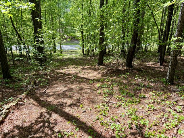 0 RAULSTON FALLS RD, Jasper, TN 37347