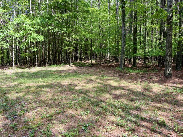 0 RAULSTON FALLS RD, Jasper, TN 37347