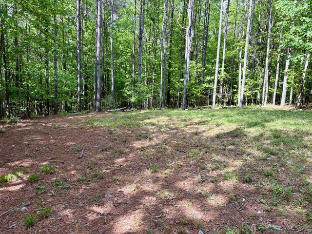 0 RAULSTON FALLS RD, Jasper, TN 37347