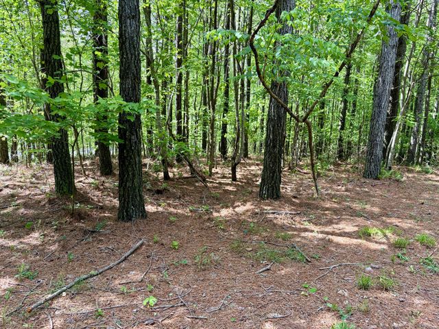 0 RAULSTON FALLS RD, Jasper, TN 37347