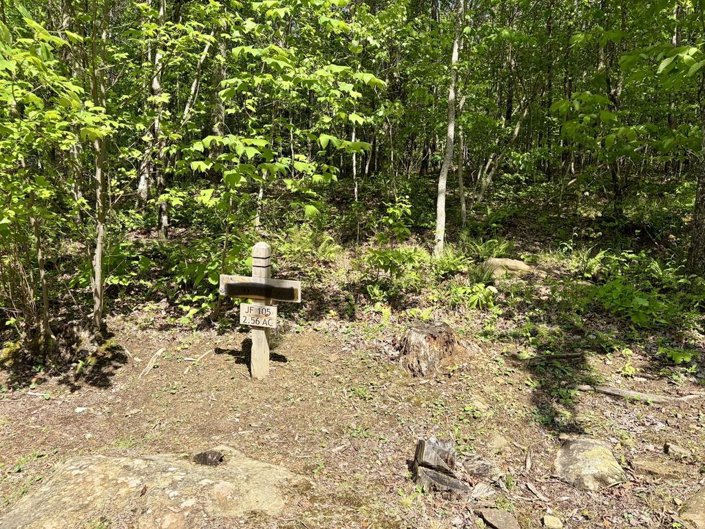 0 RAULSTON FALLS RD, Jasper, TN 37347