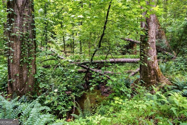 580 Eagles Perch Road, Ball Ground, GA 30107