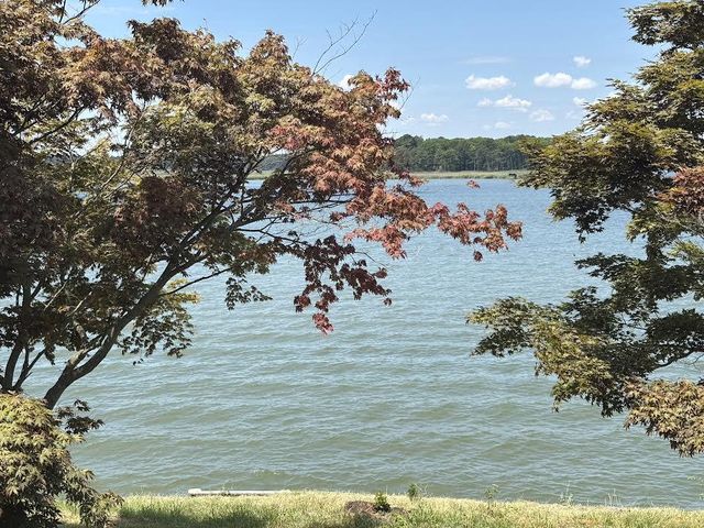 300 WOODS POINT RD, Chester, MD 21619