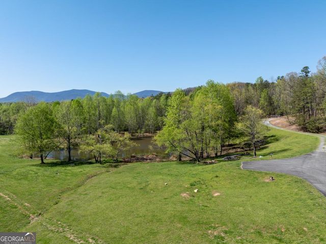 40 Pond Path, Ellijay, GA 30536