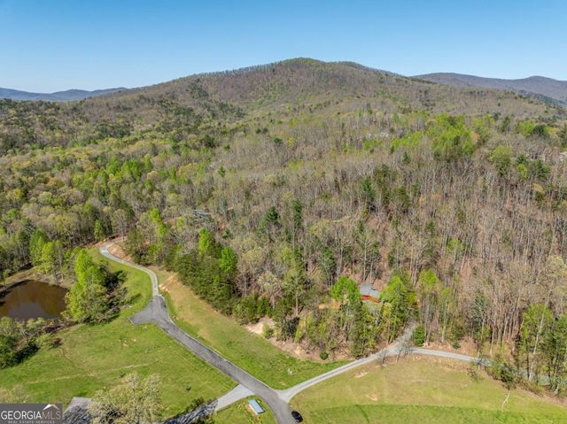 40 Pond Path, Ellijay, GA 30536
