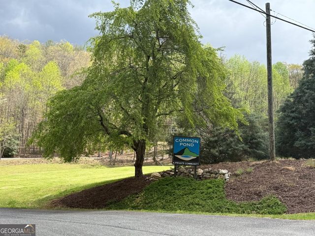 40 Pond Path, Ellijay, GA 30536
