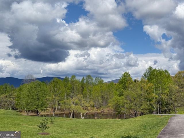 40 Pond Path, Ellijay, GA 30536