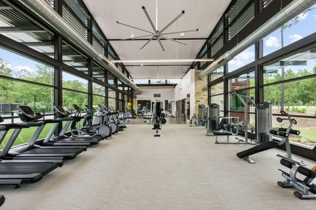 323 Calmato Woods Way, Conroe, TX 77318