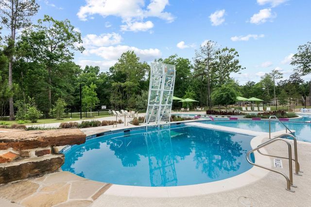 323 Calmato Woods Way, Conroe, TX 77318