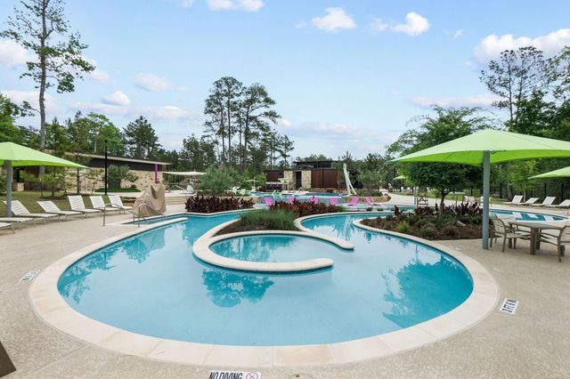 323 Calmato Woods Way, Conroe, TX 77318