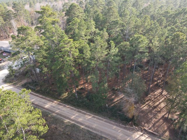 LOT 3 County Road 4025, Lovelady, TX 75851