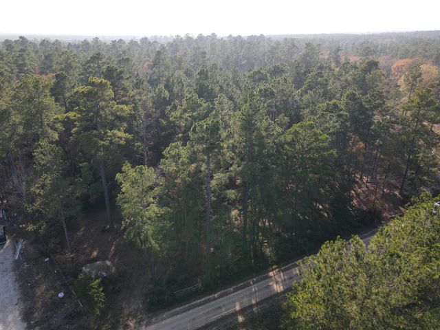 LOT 3 County Road 4025, Lovelady, TX 75851