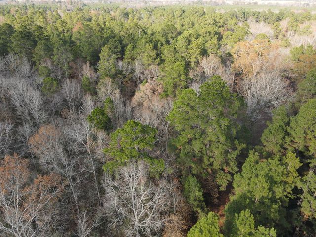 LOT 3 County Road 4025, Lovelady, TX 75851