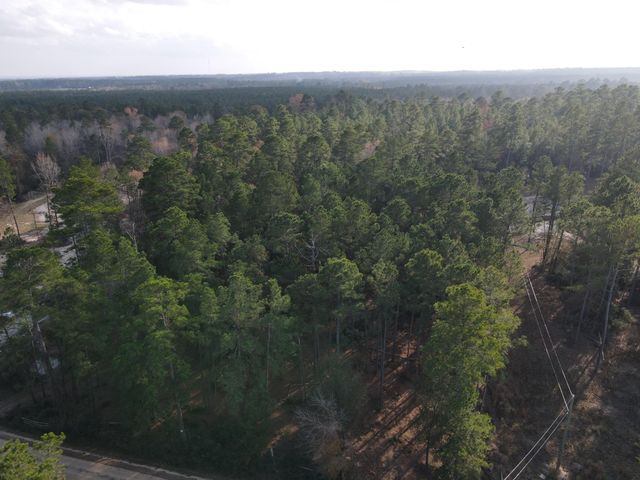 LOT 3 County Road 4025, Lovelady, TX 75851