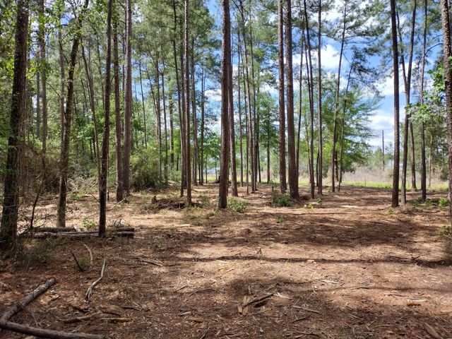 LOT 3 County Road 4025, Lovelady, TX 75851