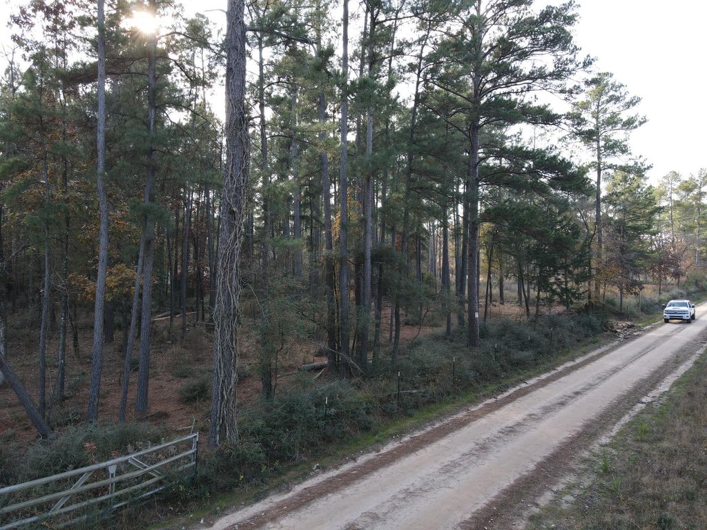 LOT 3 County Road 4025, Lovelady, TX 75851