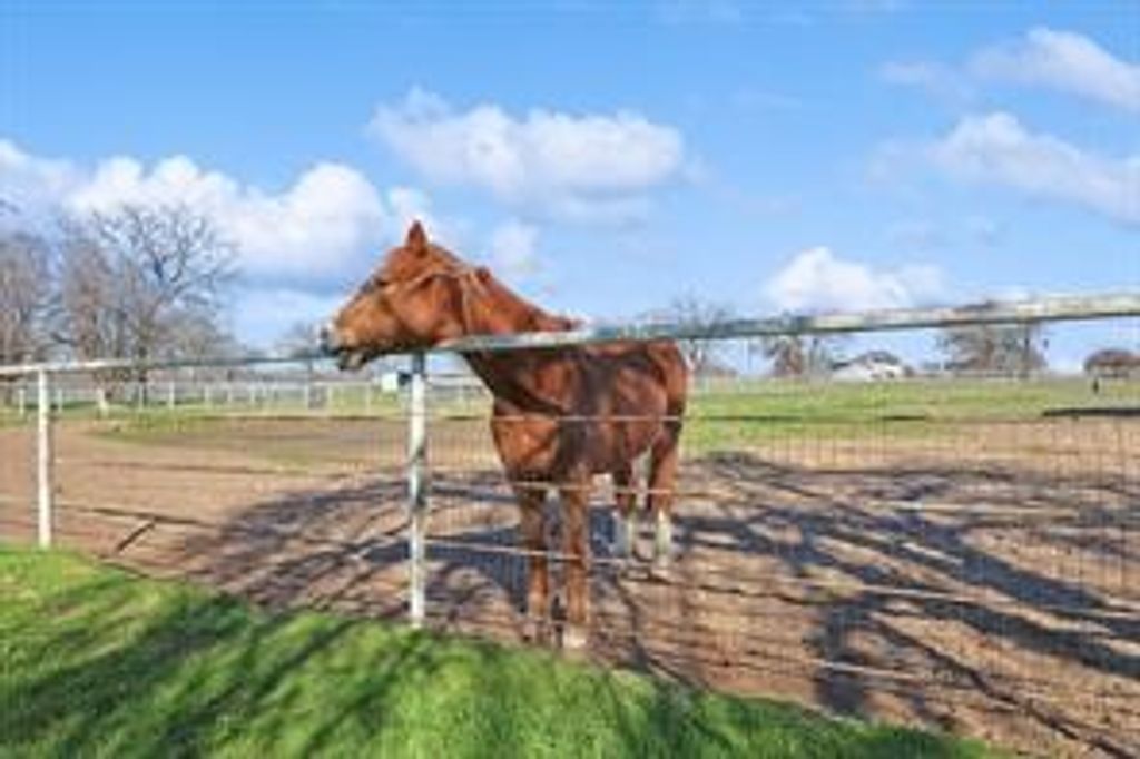 650 Spring Hill Road, Aubrey, TX 76227