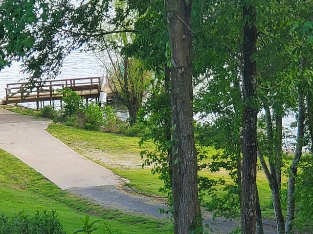 1 Turtle Point, Waverly, TN 37185