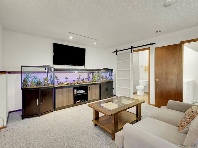 638 Impala Trl, Bailey, CO 80421