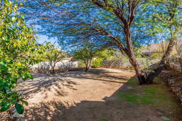 39371 S Cinch Strap Place, Tucson, AZ 85739