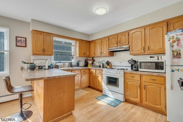 316 N 11Th St, Kenilworth Boro, NJ 07033