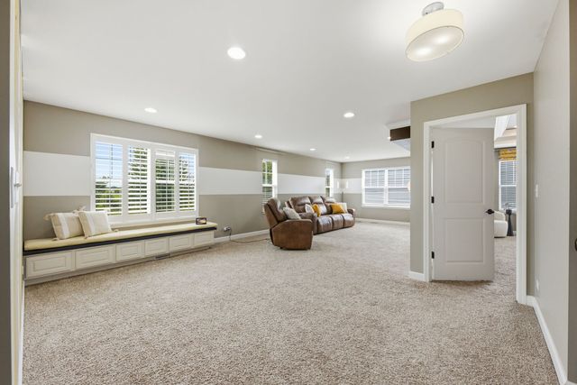 14924 S Case Street, Plainfield, IL 60544