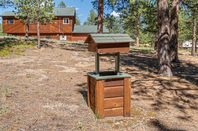 43 Crystal Rock Road, Bailey, CO 80421