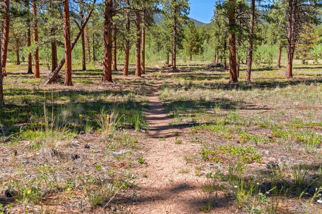 43 Crystal Rock Road, Bailey, CO 80421