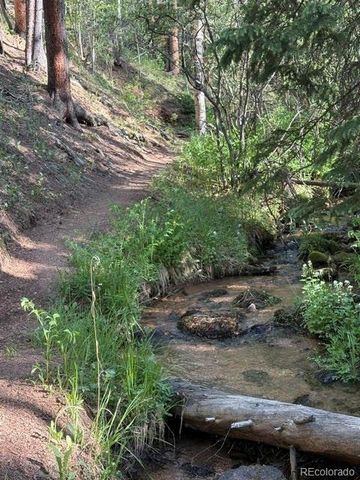 43 Crystal Rock Road, Bailey, CO 80421