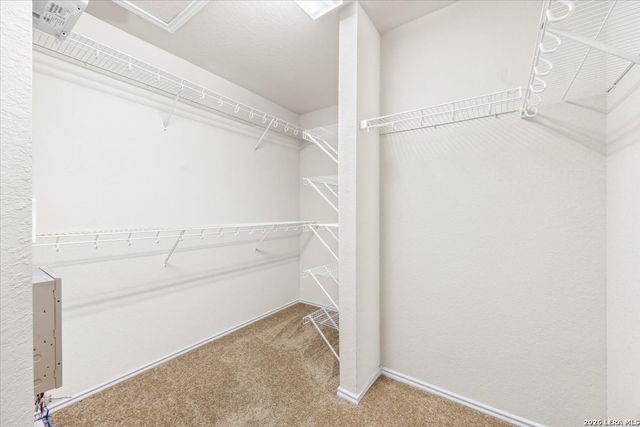5403 Argyle Way, San Antonio, TX 78247
