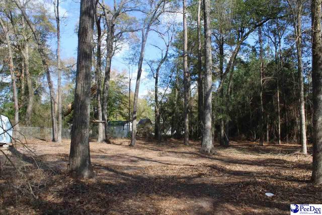 3086 Cobblestone St., Florence, SC 29506