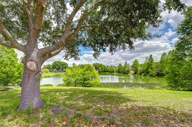 18003 BIRDWATER DRIVE, Tampa, FL 33647