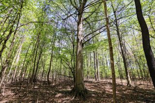 VL Benny Ct (Private) Parcel 3, Grand Junction, MI 49056