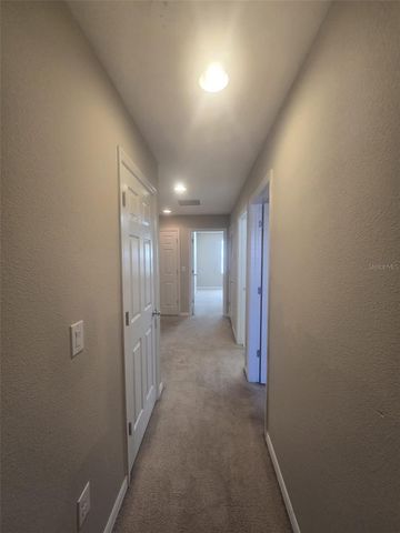 6978 HOLLY HEATH DRIVE, Riverview, FL 33578