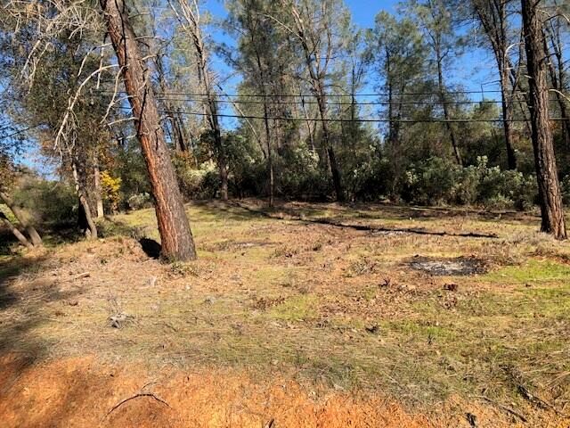 Shasta Dam Boulevard, Shasta Lake, CA 96019