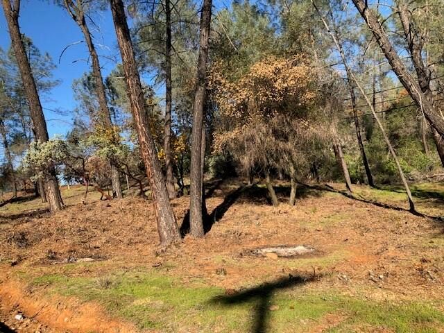 Shasta Dam Boulevard, Shasta Lake, CA 96019
